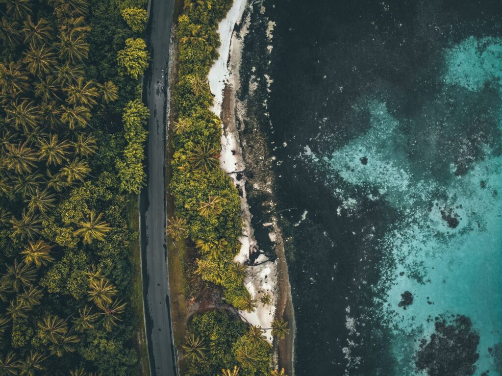 Barbados Diving Bliss